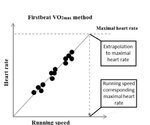 vo2max.jpg