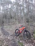 20190312_150433.jpg