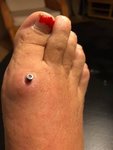 IMG_4978.jpg