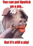 lipstick-on-a-pig-218x300.jpg