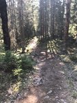 IMG_74091.jpg
