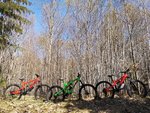 IMG_20190422_132448.jpg