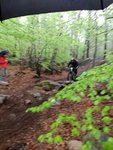 IMG_20190428_105556099.jpg