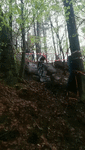 ezgif.com-video-to-gif.gif