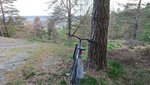 DSC_0283.JPG