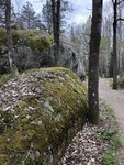 6DBD3607-2B6D-4363-9F58-5B9D5F432F21.jpeg