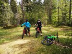 IMG_20190505_153205.jpg