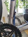IMG_20190511_183925.jpg
