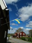 IMG_20190511_115823.jpg