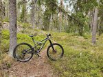 20190512_162437.jpg