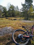 IMG_20190424_110246.jpg