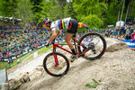 scott-1587581_original_1.jpg