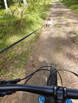 20190602_161951.jpg
