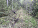 Gamla landsvägen.jpg