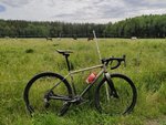 IMG_20190711_130617.jpg