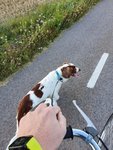 20190814_184208.jpg