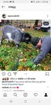 Screenshot_20190820-200626_Instagram.jpg