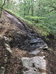 IMG_4333.jpeg