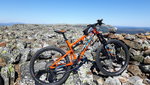 20180716_115751.jpg