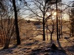 20181127_092444.jpg