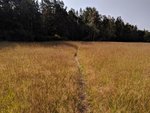 IMG_20190901_102710.jpg