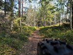 IMG_20190901_103616.jpg