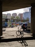 IMG_20190902_080433.jpg