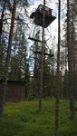 IMG_20190815_120326.jpg