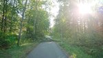 Träd 20190915.JPG
