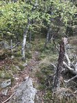 343D1899-8523-40A1-AB32-DE57CED7114E.jpeg