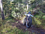 20191012_124835.jpg