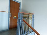 IMG_20190809_150227.jpg