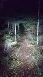DSC_0553.JPG