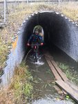 IMG_20191026_120937.jpg