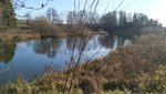 IMG_20191031_120511.jpg