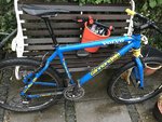 4EE0D3E5-084C-48FC-A602-D093314914AD.jpeg