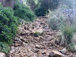 IMG_1397.JPG