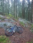 DSC_1104.JPG