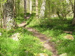 vår -07 007.jpg