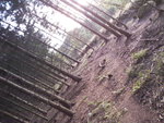 SP_A0166.jpg