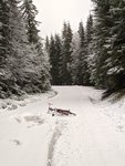 IMG_20191224_123718.jpg
