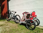 IMG_20190513_153954.jpg