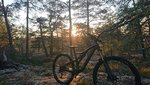DSC_0517.JPG