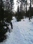 IMG_20200101_131752.jpg