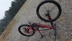 20200129_124510.jpg