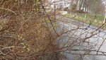 DDAF1602-ABA8-46F5-BB39-6EC37ED587AC.jpeg DDAF1602-ABA8-46F5-BB39-6EC37ED587AC.jpeg