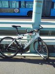 DSC07852.JPG