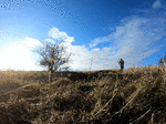 GX010258_1584731798235_high_1.gif