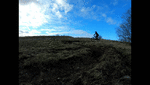 GX010257_1584731692260_high_1_1.gif
