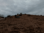 GH010267_1585420433690_high_1.gif
